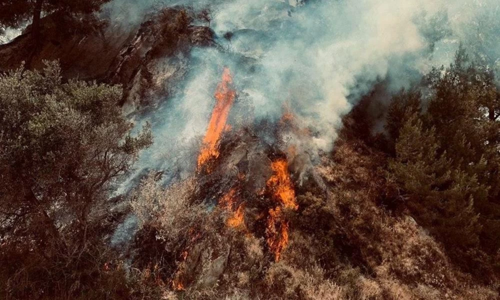 Υπό έλεγχο η μεγάλη φωτιά στη Ζάκυνθο - Εικόνες